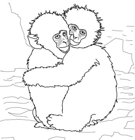 Hugging Snow Monkeys Coloring Page